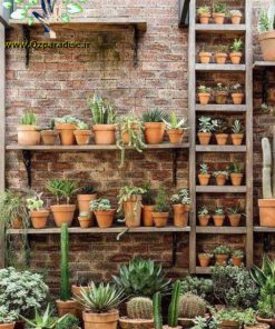 دکوراسیون فروشگاه گل FSD28 Flower shop Decoration