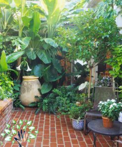 دکوراسیون فروشگاه گل FSD29 Flower shop Decoration