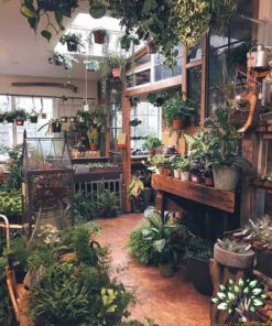 دکوراسیون فروشگاه گل FSD30 Flower shop Decoration