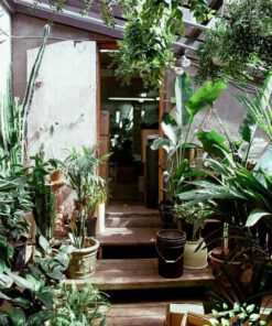 دکوراسیون فروشگاه گل FSD35 Flower shop Decoration