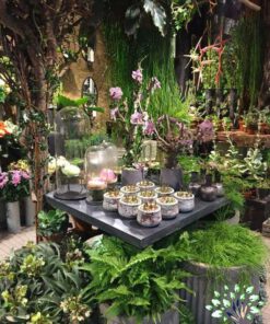 دکوراسیون فروشگاه گل FSD36 Flower shop Decoration