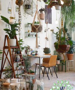 دکوراسیون فروشگاه گل FSD39 Flower shop Decoration