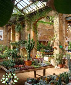 دکوراسیون فروشگاه گل FSD4 Flower shop Decoration