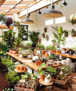 دکوراسیون فروشگاه گل FSD43 Flower shop Decoration