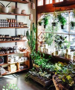 دکوراسیون فروشگاه گل FSD44 Flower shop Decoration