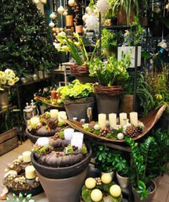 دکوراسیون فروشگاه گل FSD47 Flower shop Decoration