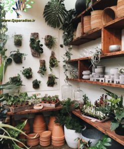 دکوراسیون فروشگاه گل FSD49 Flower shop Decoration