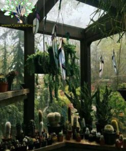 دکوراسیون فروشگاه گل FSD50 Flower shop Decoration