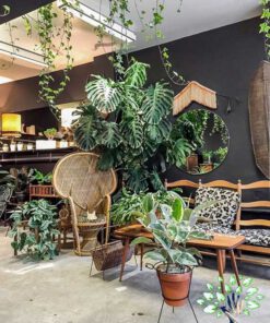 دکوراسیون فروشگاه گل FSD53 Flower shop Decoration