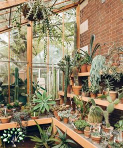 دکوراسیون فروشگاه گل FSD56 Flower shop Decoration