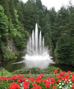 آبنما باغیGB24 Garden birdhouse