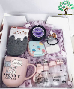 در صورتی که عکس کالای باکس هدیه bg55 نمایش داده نشد با تیم پشتیبانی هماهنگ کنید.