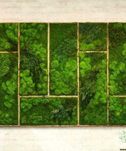 دیوار سبز GW100 Green wall