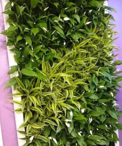 دیوار سبز GW103 Green wall