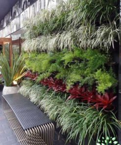 دیوار سبز GW107 Green wall