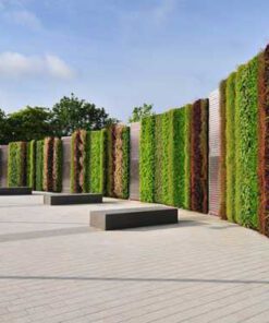 دیوار سبز GW11 Green wall