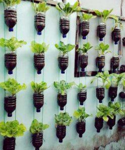 دیوار سبز GW111 Green wall