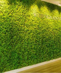 دیوار سبز GW112 Green wall