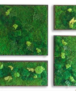 دیوار سبز GW115 Green wall