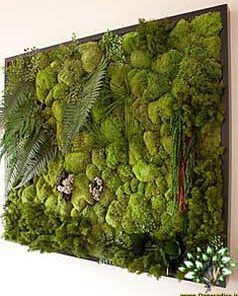 دیوار سبز GW117 Green wall