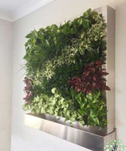 دیوار سبز GW118 Green wall