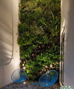 دیوار سبز GW120 Green wall