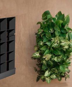 دیوار سبز GW121 Green wall