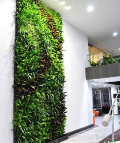 دیوار سبز GW122 Green wall
