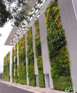 دیوار سبز GW125 Green wall