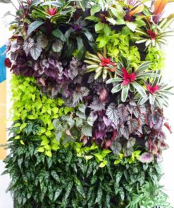 دیوار سبز GW128 Green wall