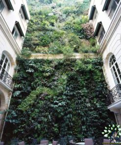 دیوار سبز GW129 Green wall
