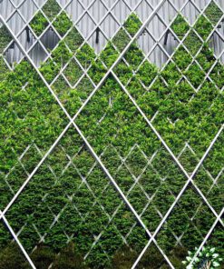 دیوار سبز GW131 Green wall