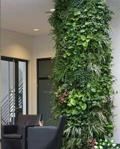 دیوار سبز GW133 Green wall