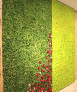 دیوار سبز GW134 Green wall