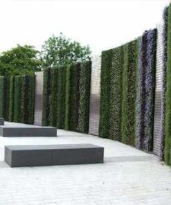 دیوار سبز GW135 Green wall