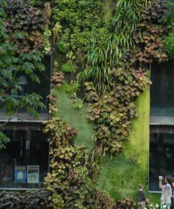 دیوار سبز GW136 Green wall