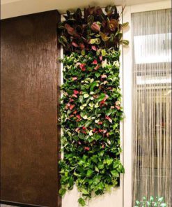 دیوار سبز GW137 Green wall