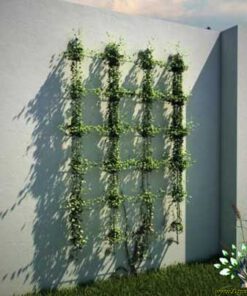 دیوار سبز GW138 Green wall