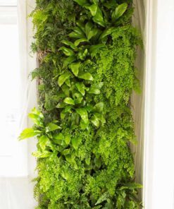 دیوار سبز GW139 Green wall