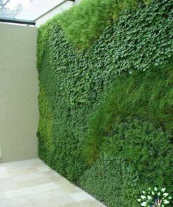 دیوار سبز GW145 Green wall