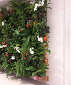 دیوار سبز GW15 Green wall