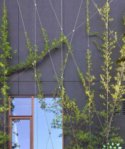 دیوار سبز GW151 Green wall