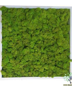 دیوار سبز GW154 Green wall