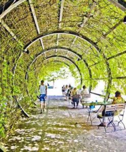 دیوار سبز GW17 Green wall