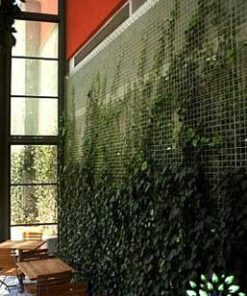 دیوار سبز GW19 Green wall