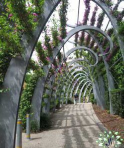 دیوار سبز GW24 Green wall