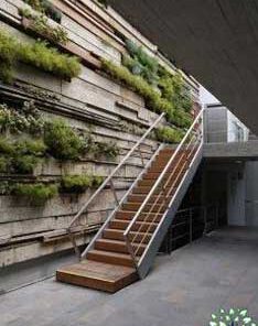 دیوار سبز GW26 Green wall