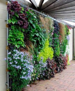 دیوار سبز GW30 Green wall