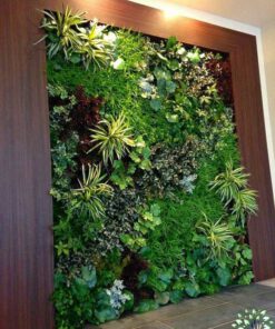 دیوار سبز GW31 Green wall