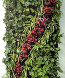 دیوار سبز GW35 Green wall